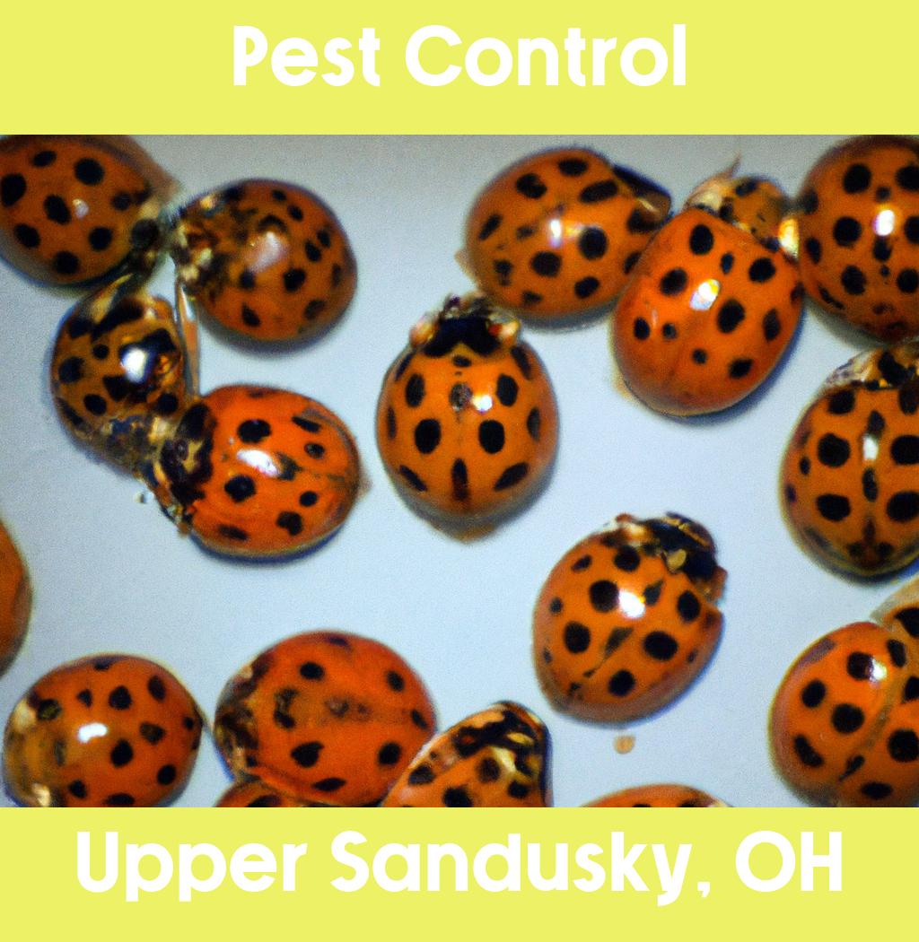 pest control in Upper Sandusky Ohio