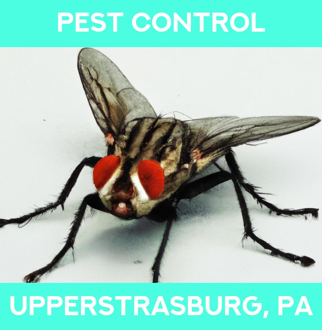 pest control in Upperstrasburg Pennsylvania