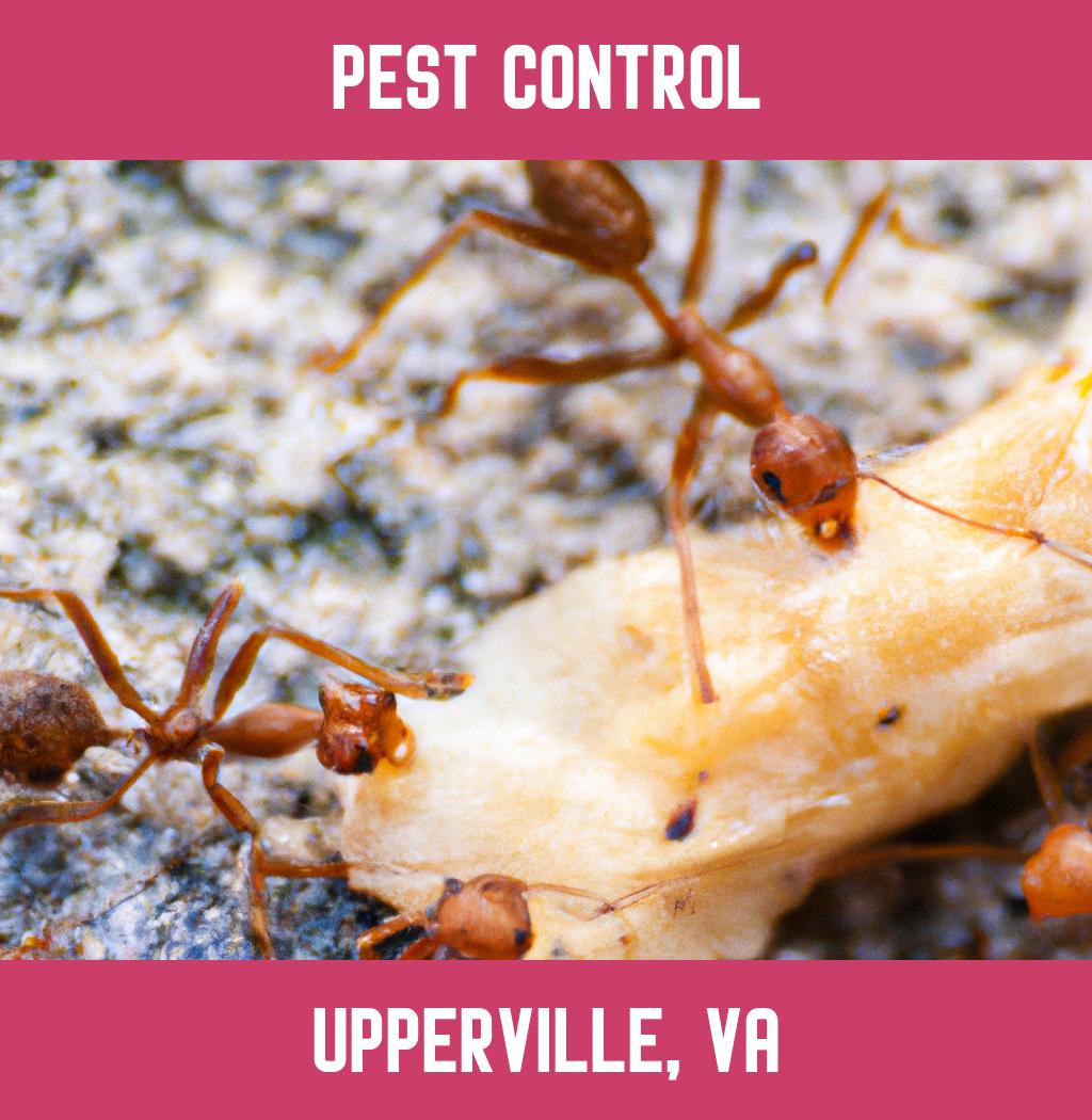 pest control in Upperville Virginia
