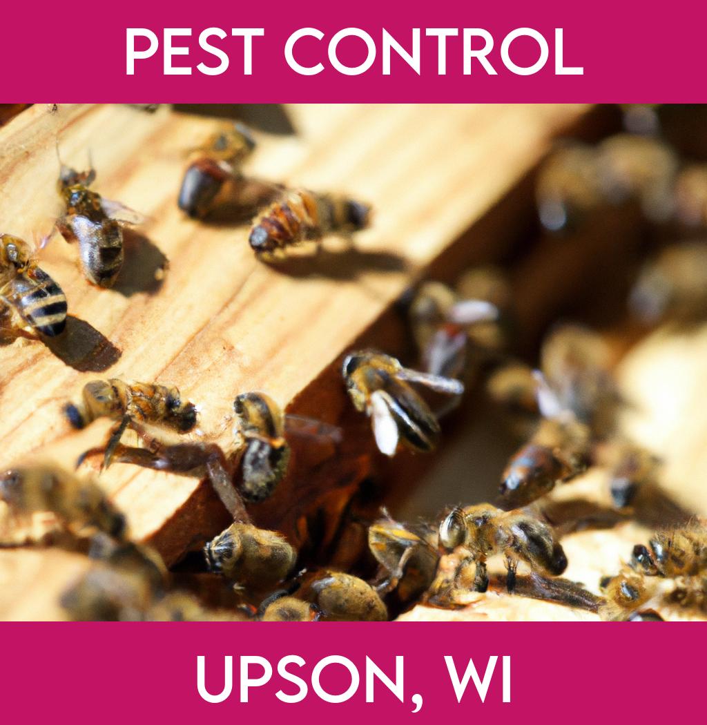 pest control in Upson Wisconsin