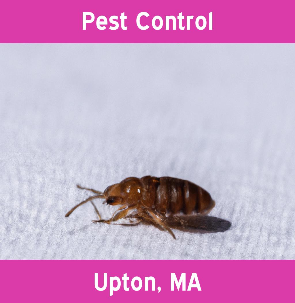 pest control in Upton Massachusetts