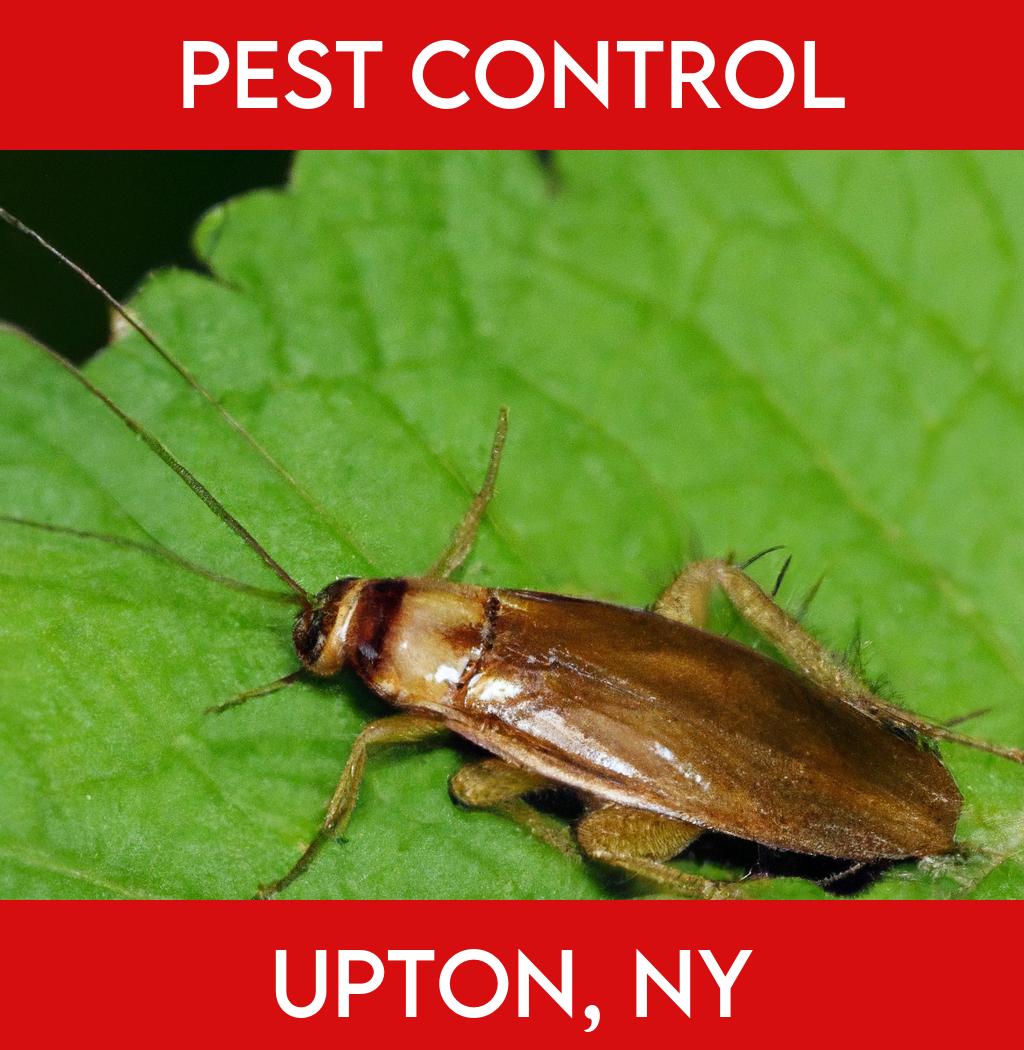 pest control in Upton New York