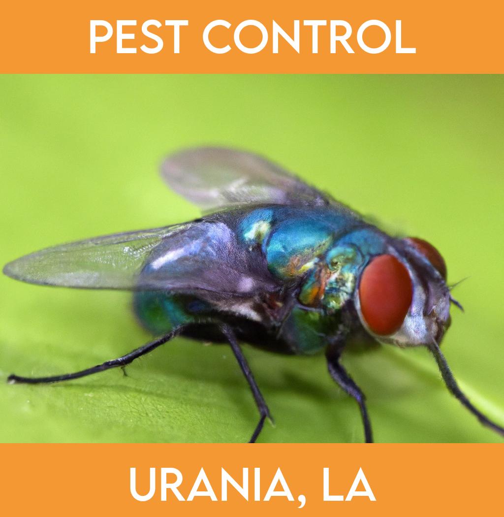 pest control in Urania Louisiana