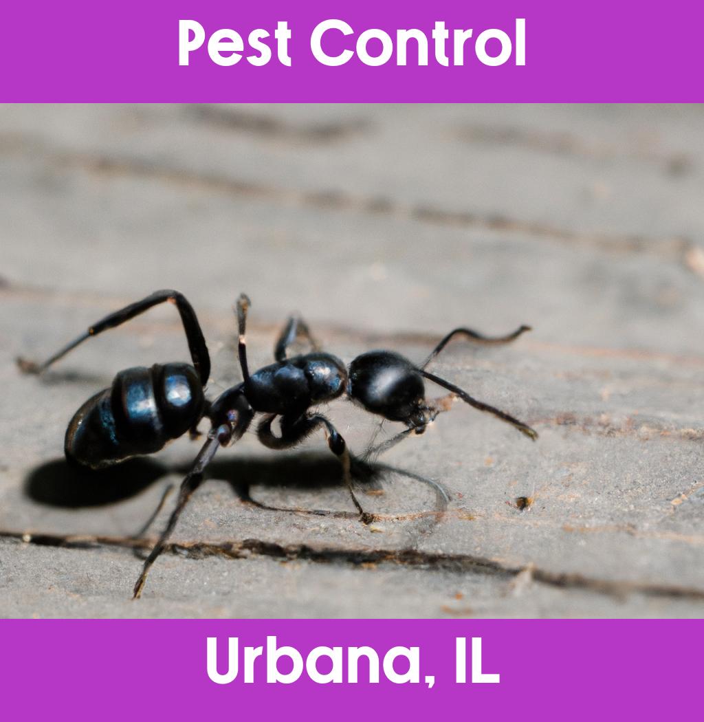 pest control in Urbana Illinois