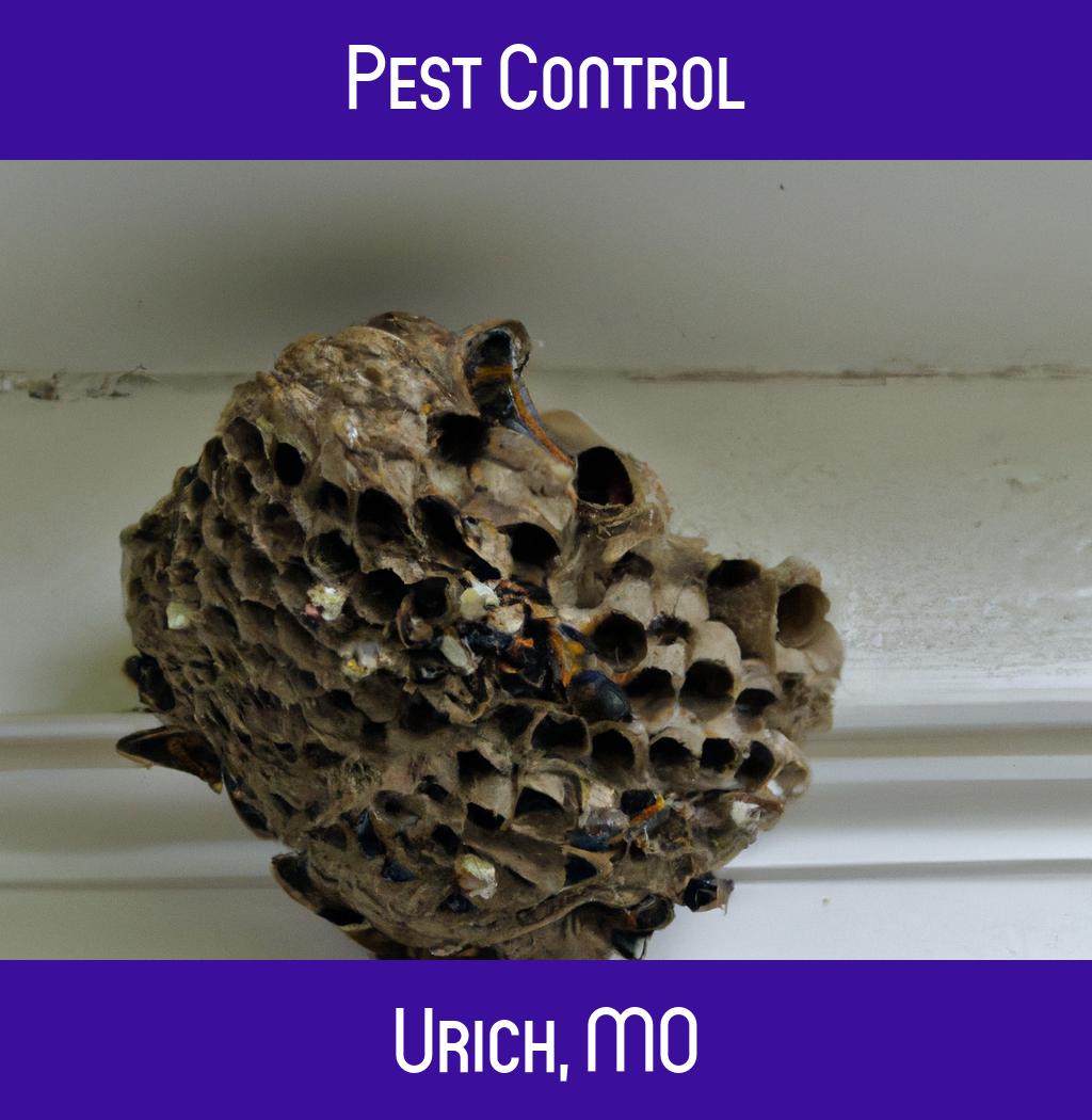 pest control in Urich Missouri