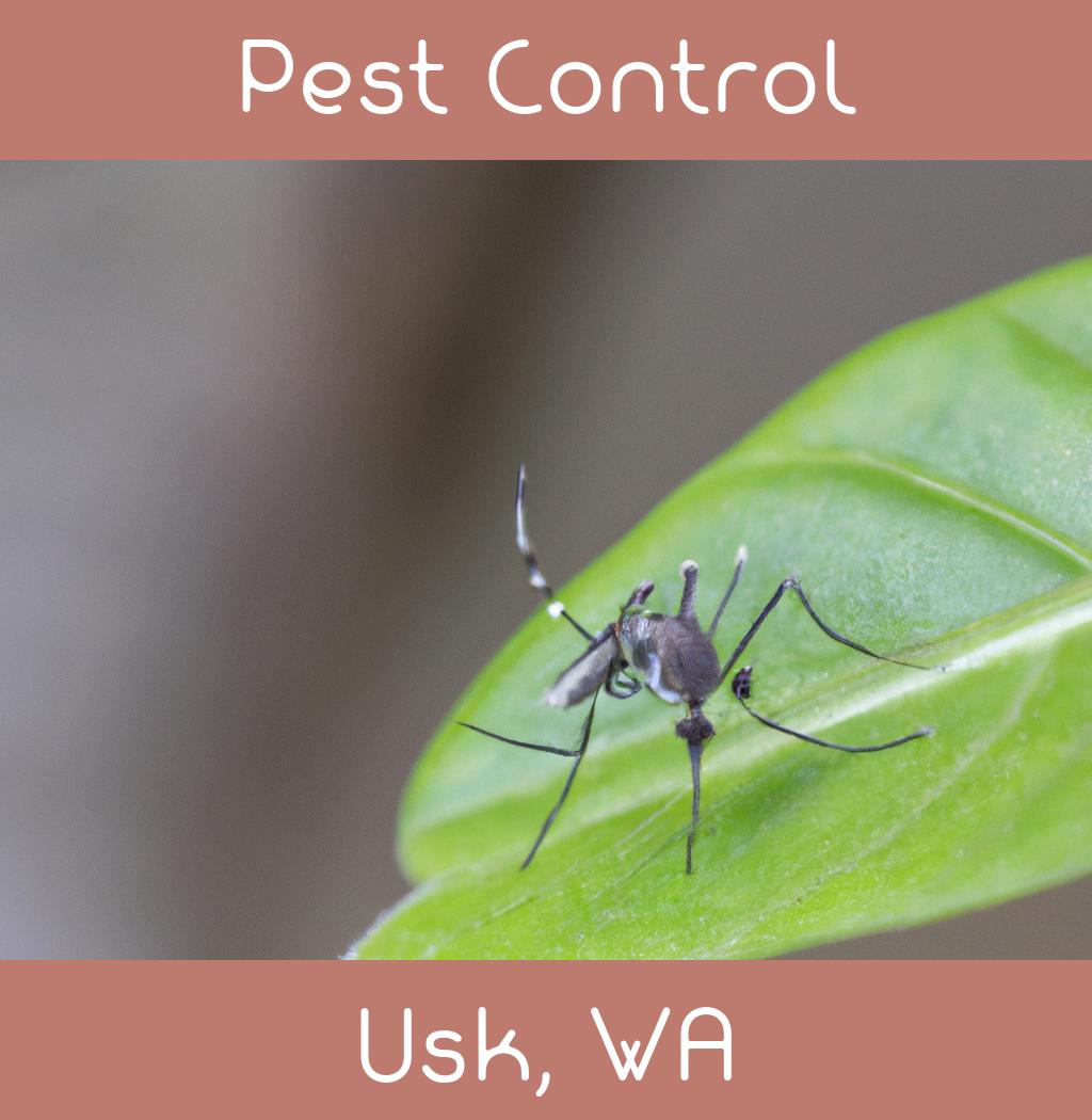pest control in Usk Washington