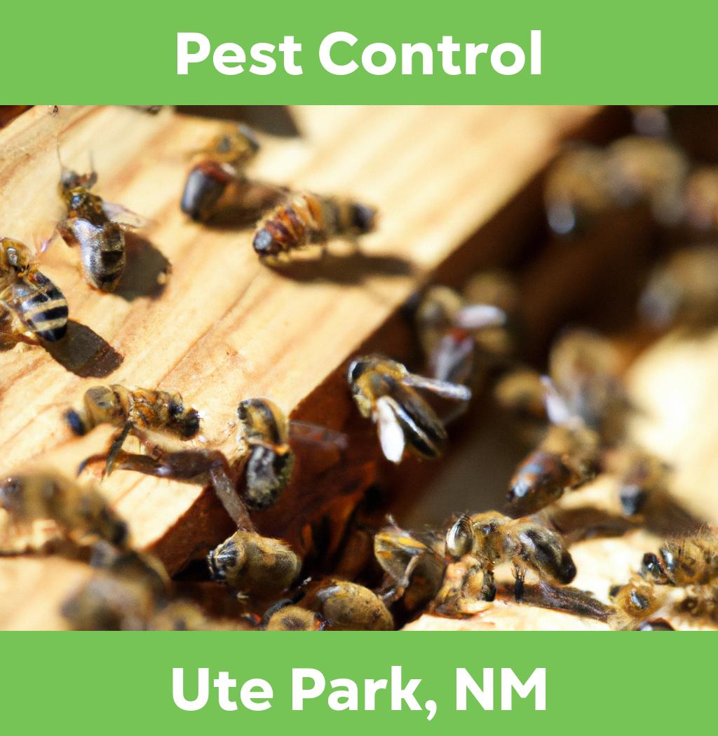 pest control in Ute Park New Mexico