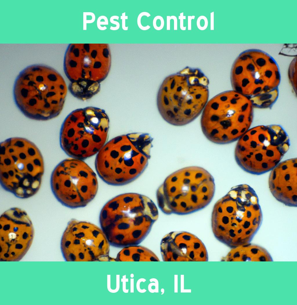 pest control in Utica Illinois