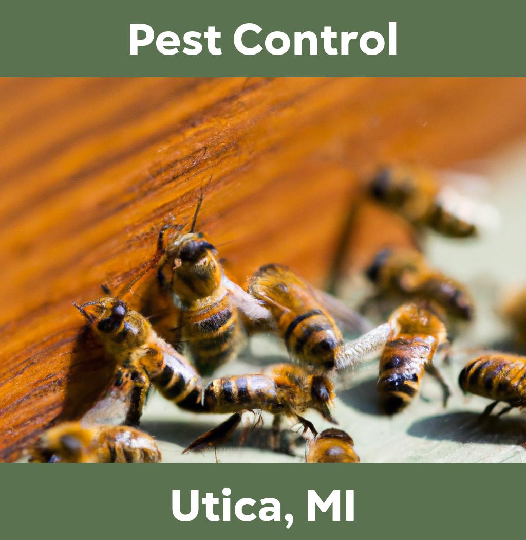 pest control in Utica Michigan