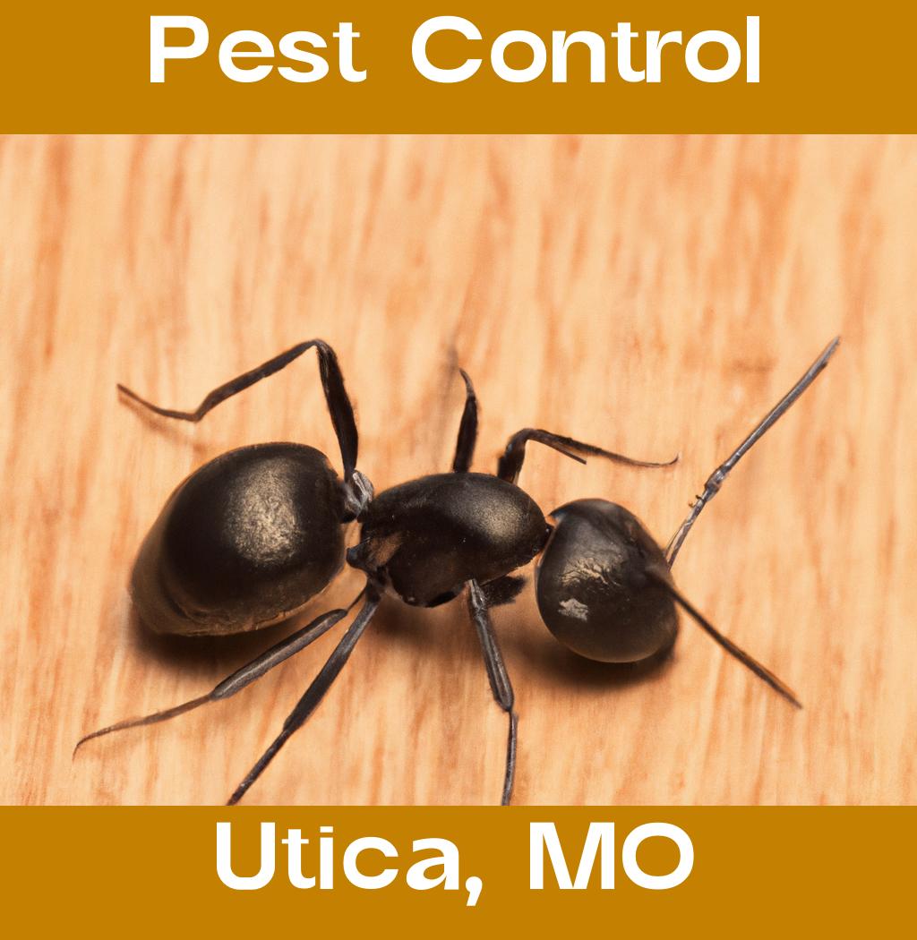 pest control in Utica Missouri