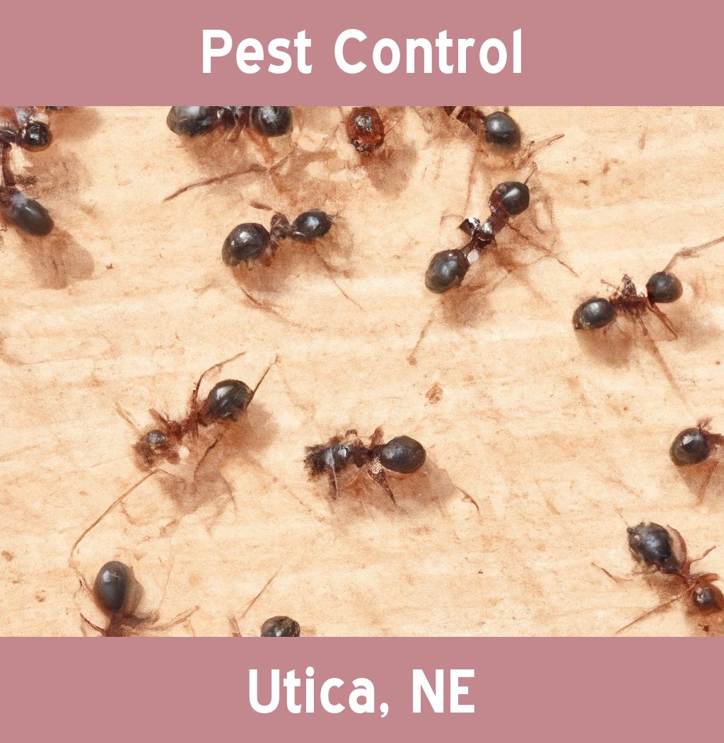 pest control in Utica Nebraska