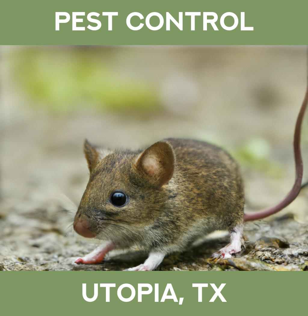 pest control in Utopia Texas
