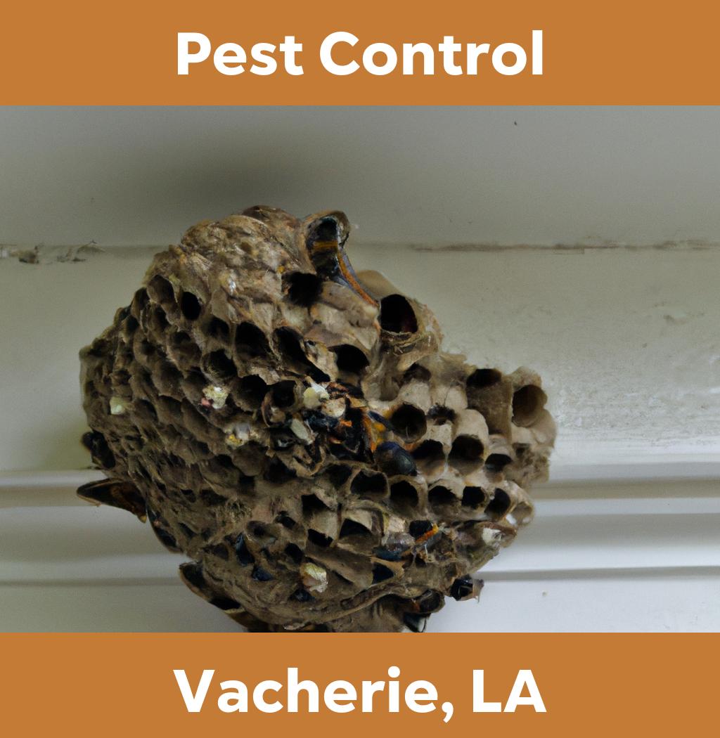 pest control in Vacherie Louisiana