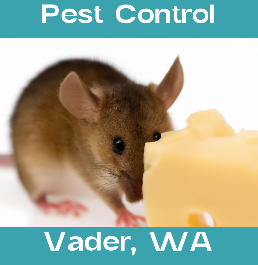 pest control in Vader Washington