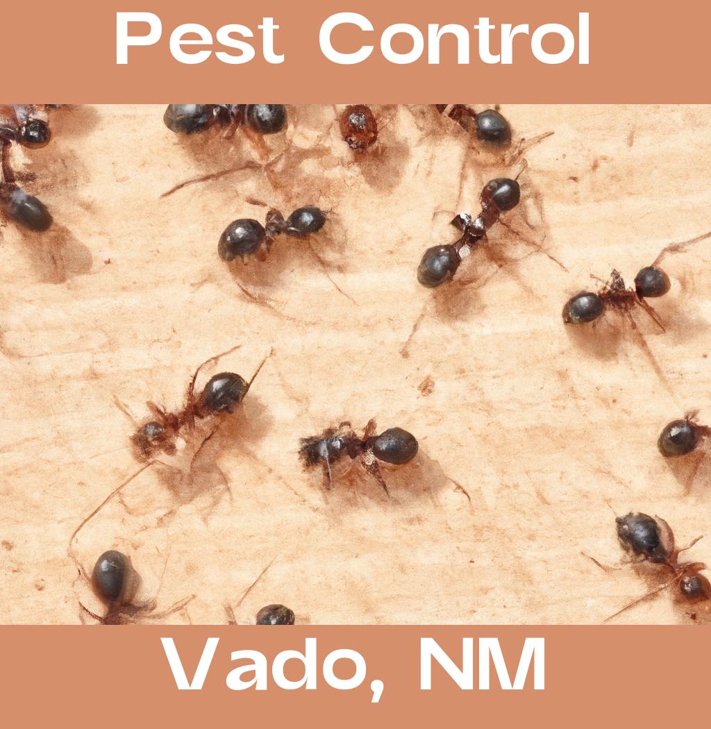 pest control in Vado New Mexico