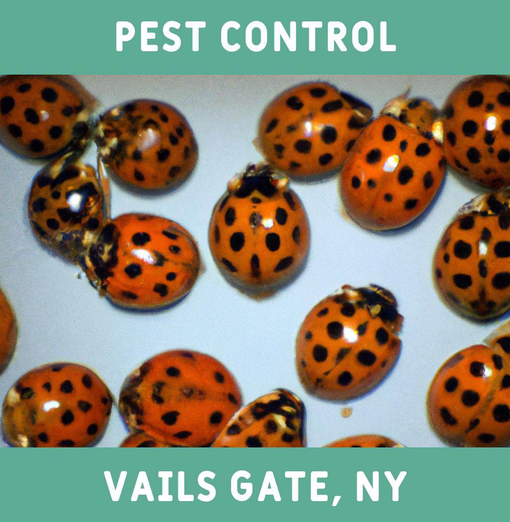 pest control in Vails Gate New York