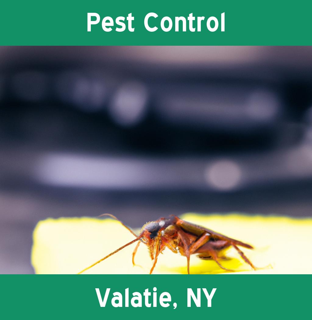 pest control in Valatie New York