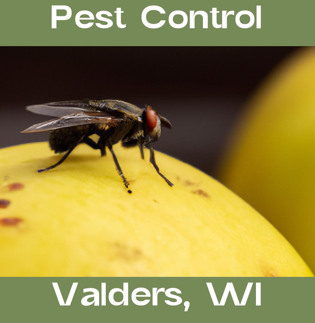 pest control in Valders Wisconsin