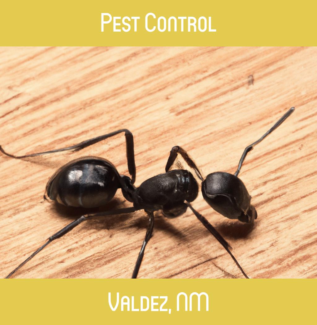 pest control in Valdez New Mexico