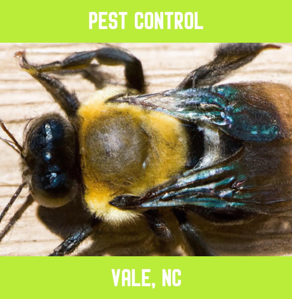 pest control in Vale North Carolina