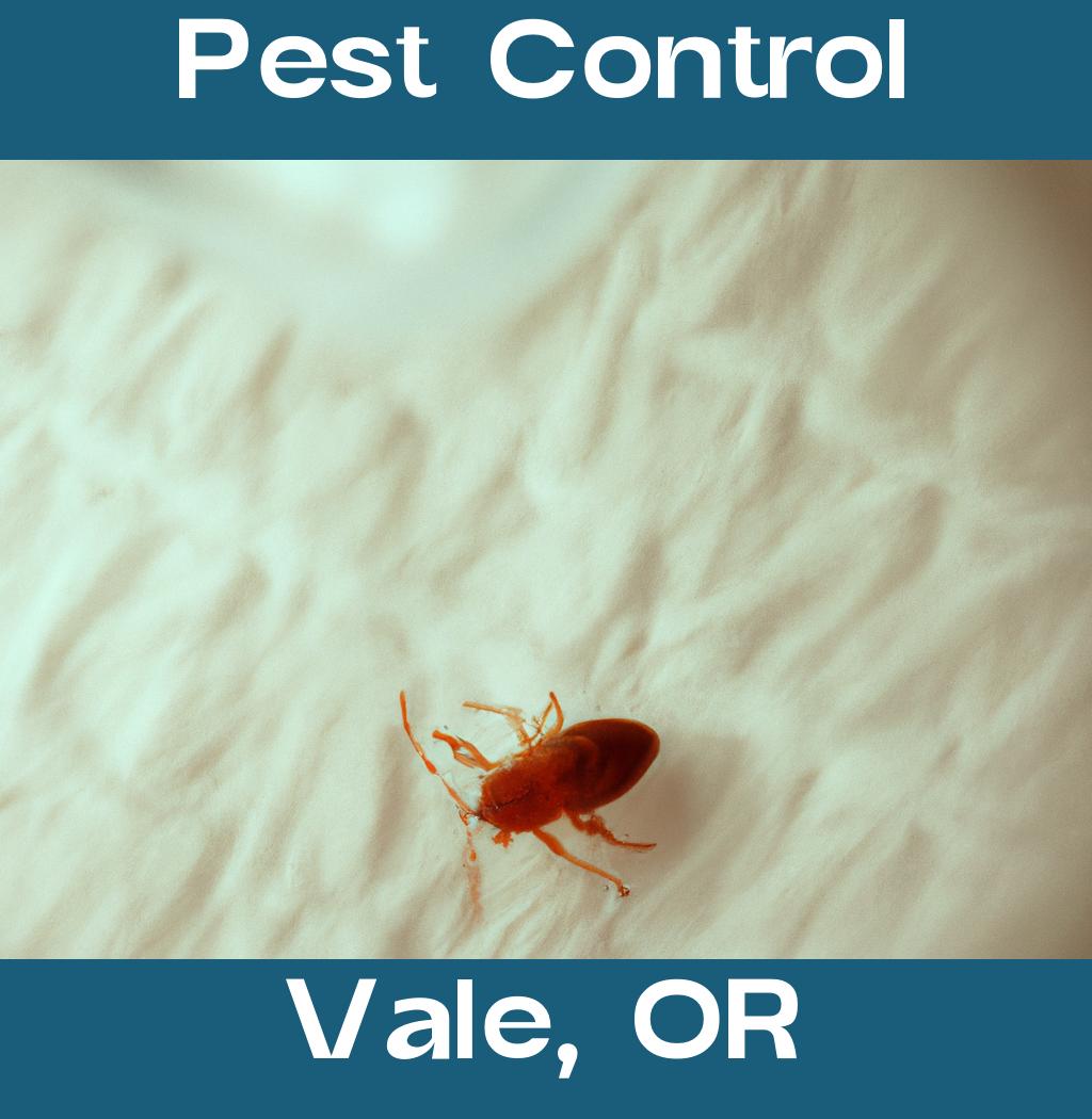 pest control in Vale Oregon