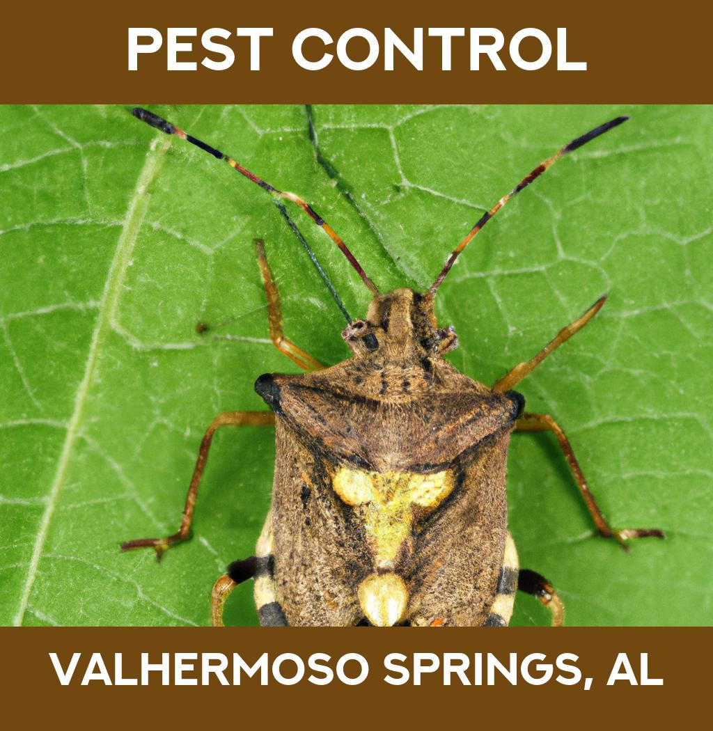 pest control in Valhermoso Springs Alabama