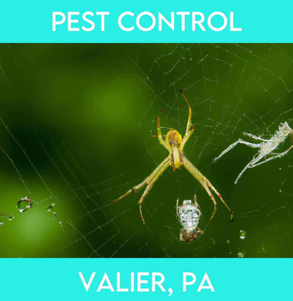 pest control in Valier Pennsylvania