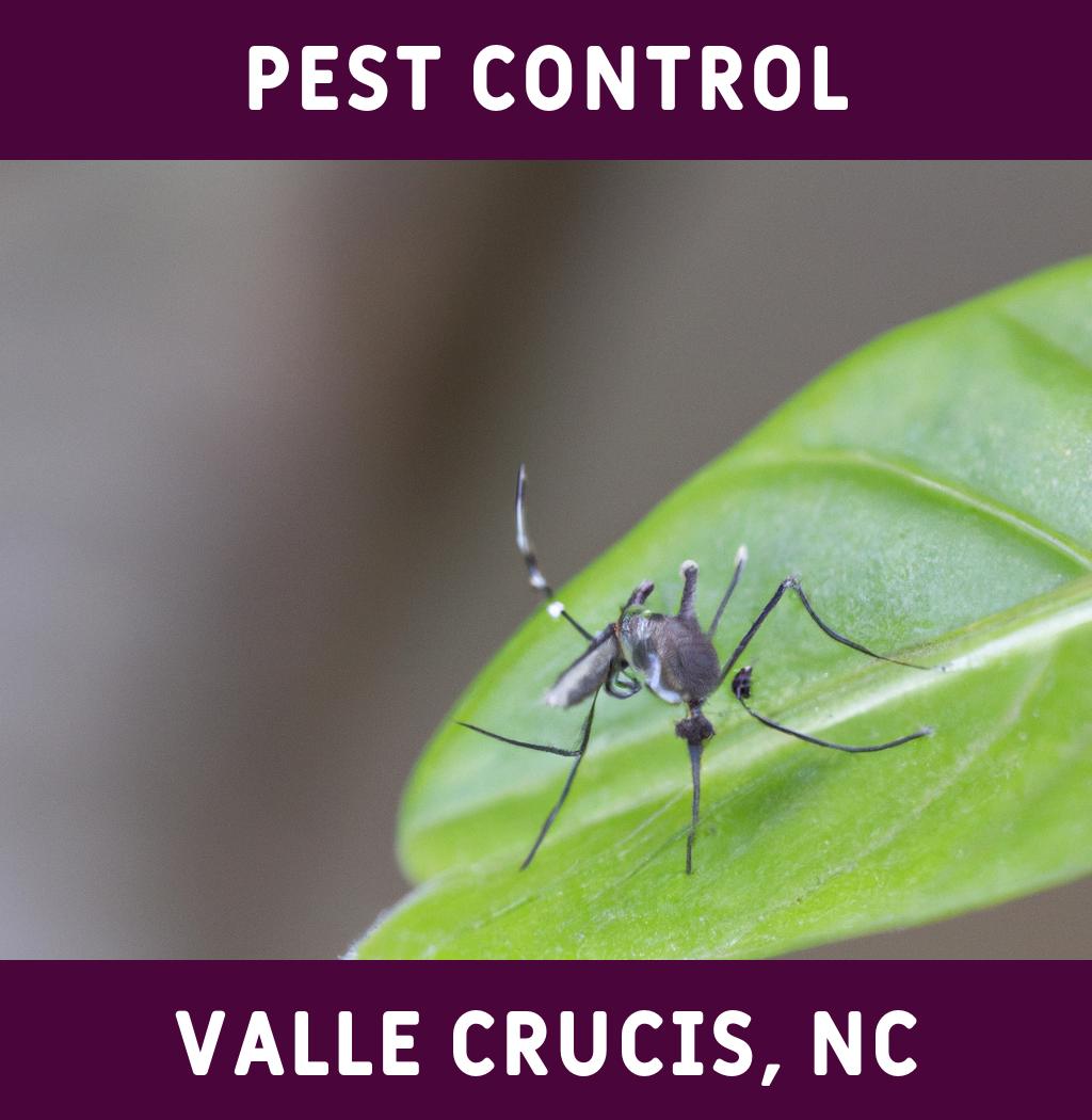 pest control in Valle Crucis North Carolina