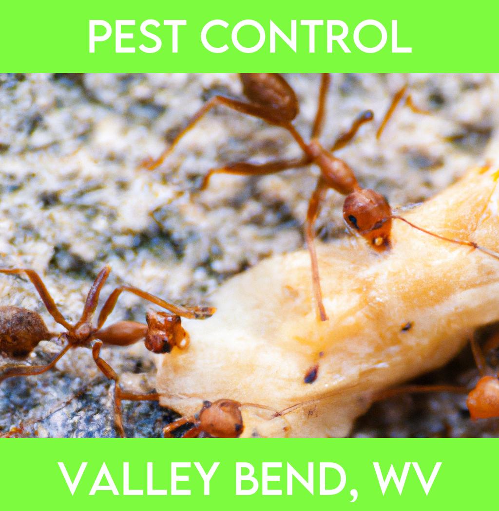 pest control in Valley Bend West Virginia