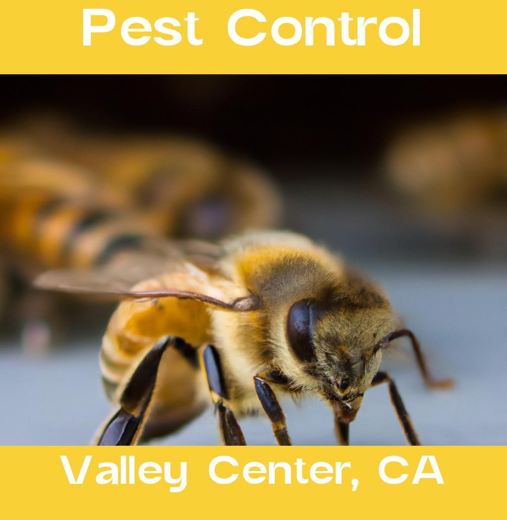 pest control in Valley Center California