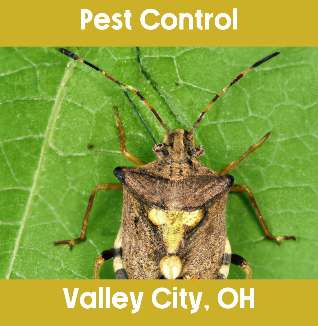 pest control in Valley City Ohio