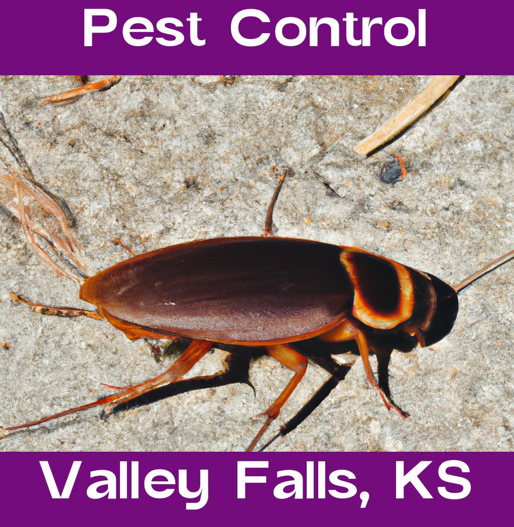 pest control in Valley Falls Kansas