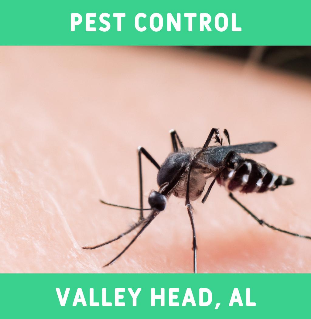 pest control in Valley Head Alabama