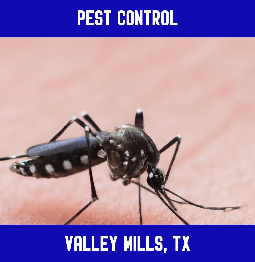 pest control in Valley Mills Texas