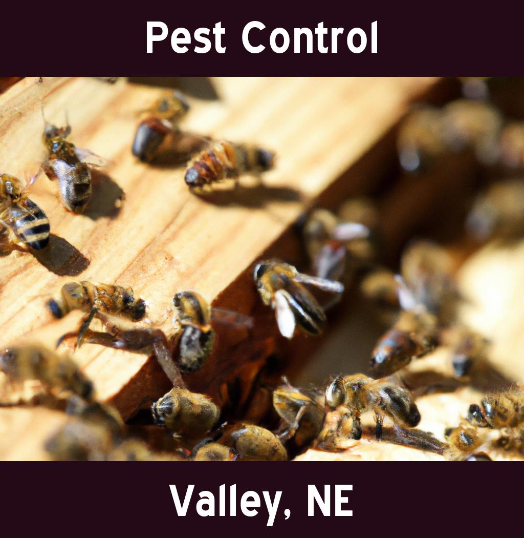 pest control in Valley Nebraska
