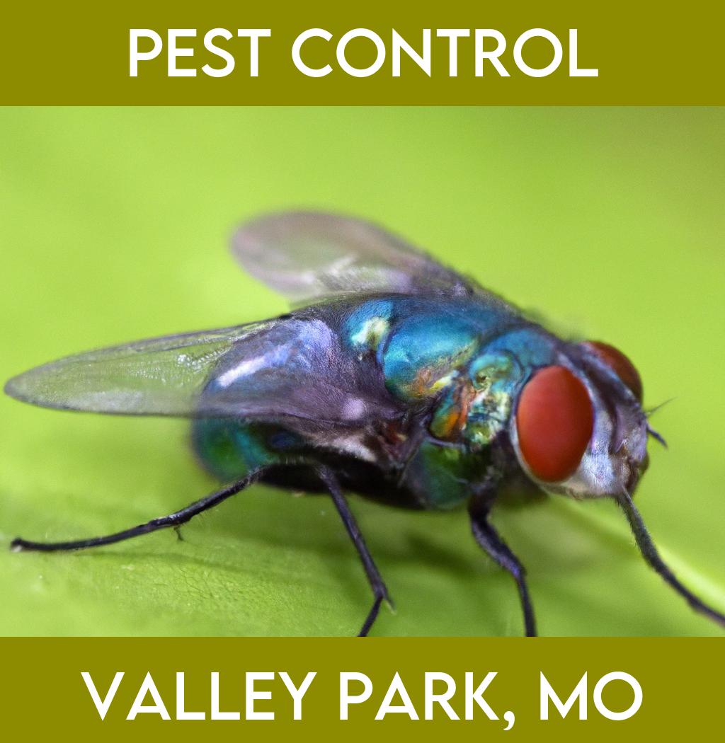 pest control in Valley Park Missouri