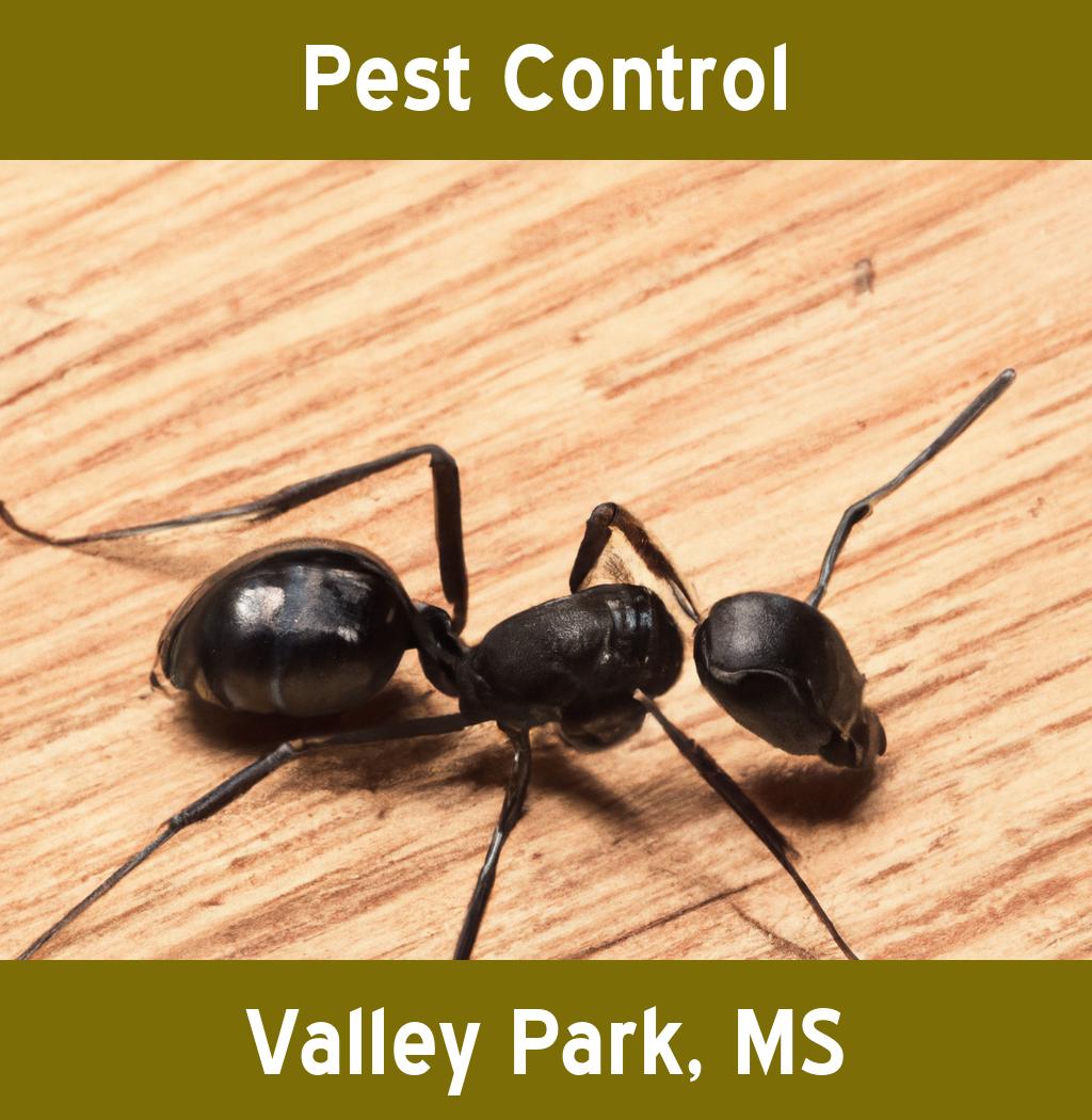 pest control in Valley Park Mississippi