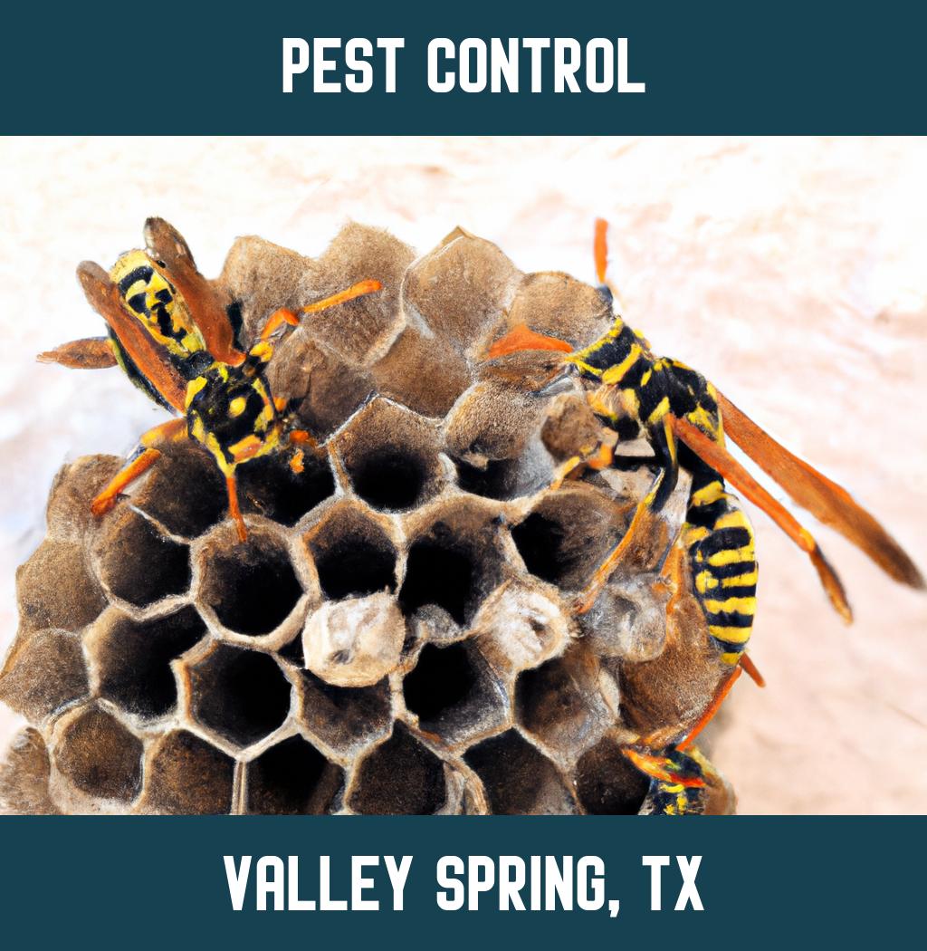 pest control in Valley Spring Texas