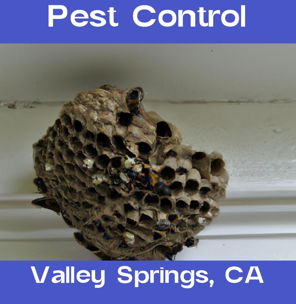 pest control in Valley Springs California