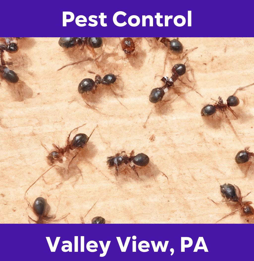 pest control in Valley View Pennsylvania