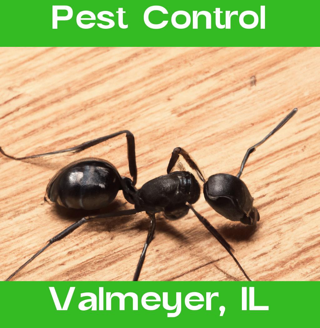 pest control in Valmeyer Illinois