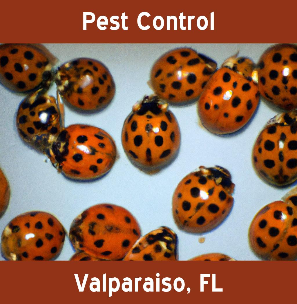 pest control in Valparaiso Florida
