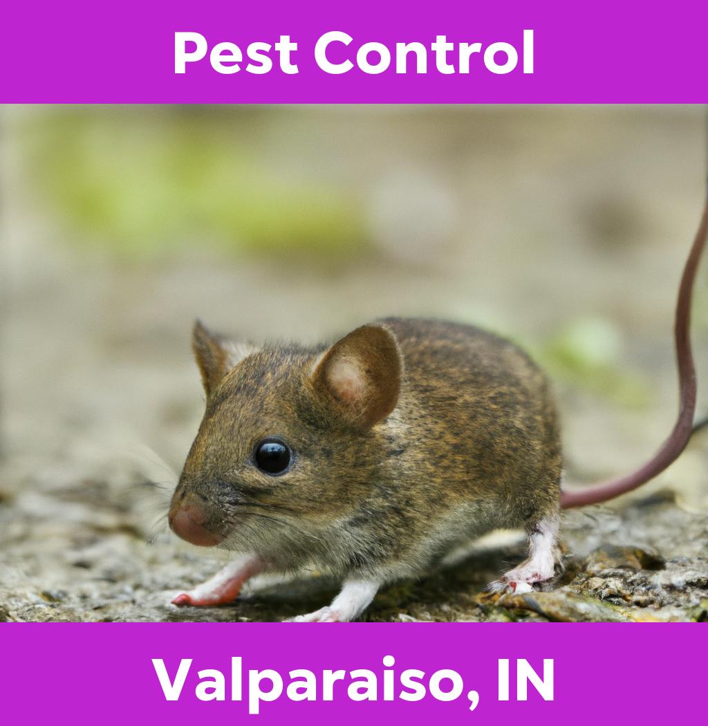 pest control in Valparaiso Indiana