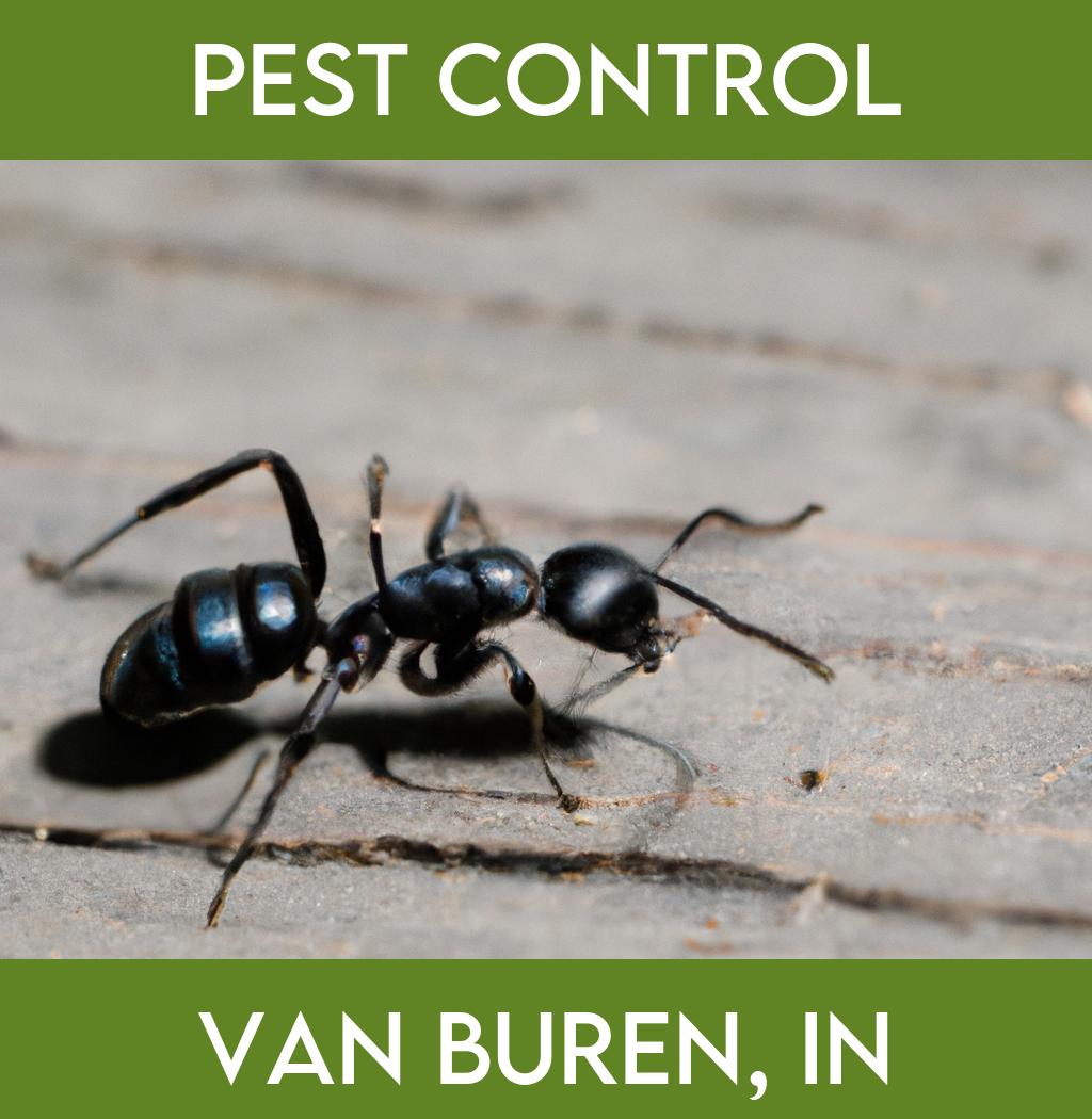 pest control in Van Buren Indiana