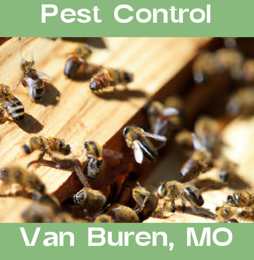 pest control in Van Buren Missouri