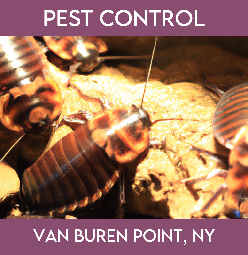 pest control in Van Buren Point New York