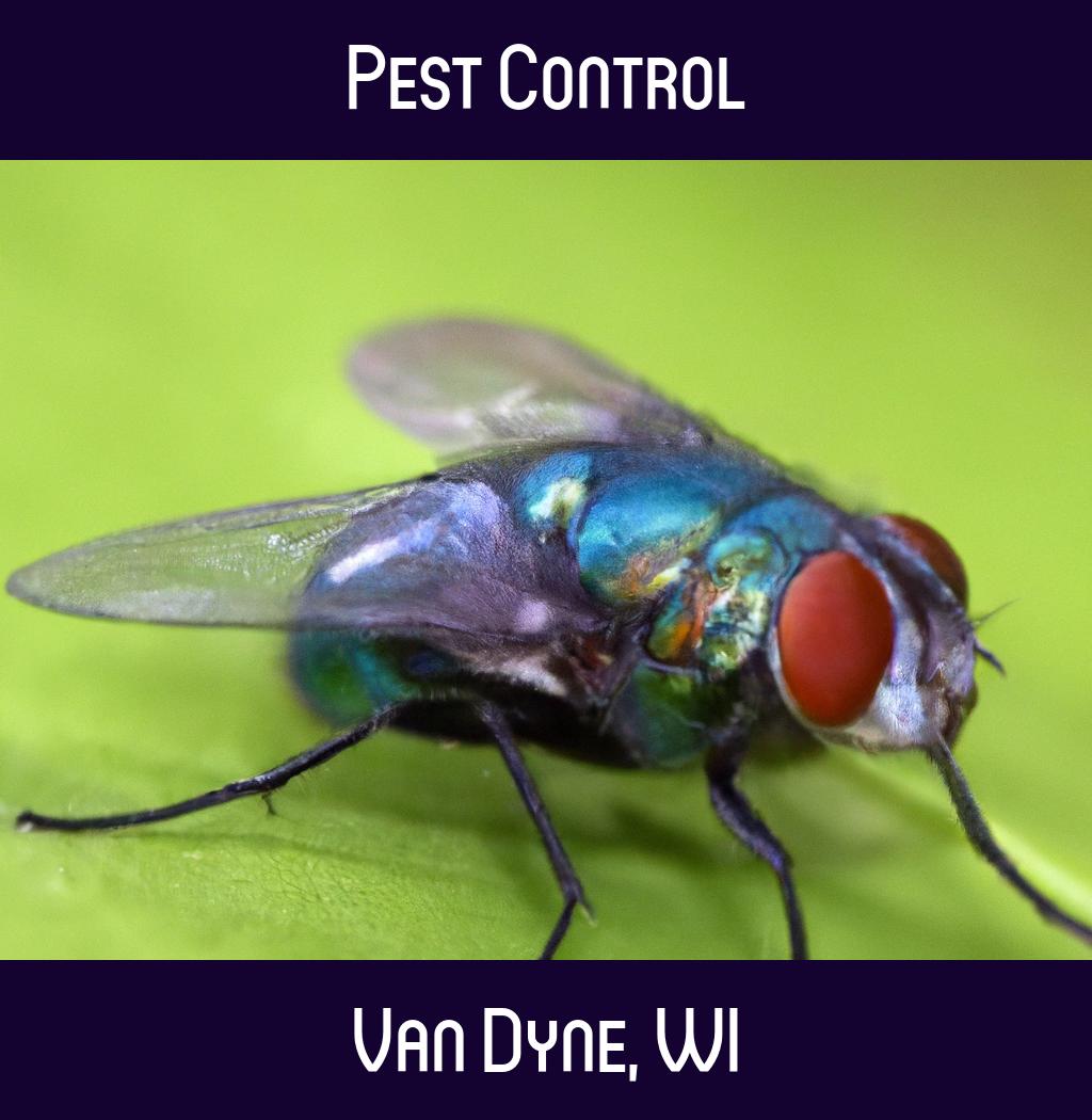 pest control in Van Dyne Wisconsin