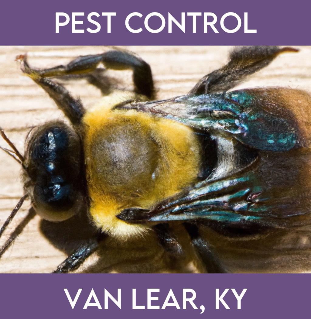 pest control in Van Lear Kentucky