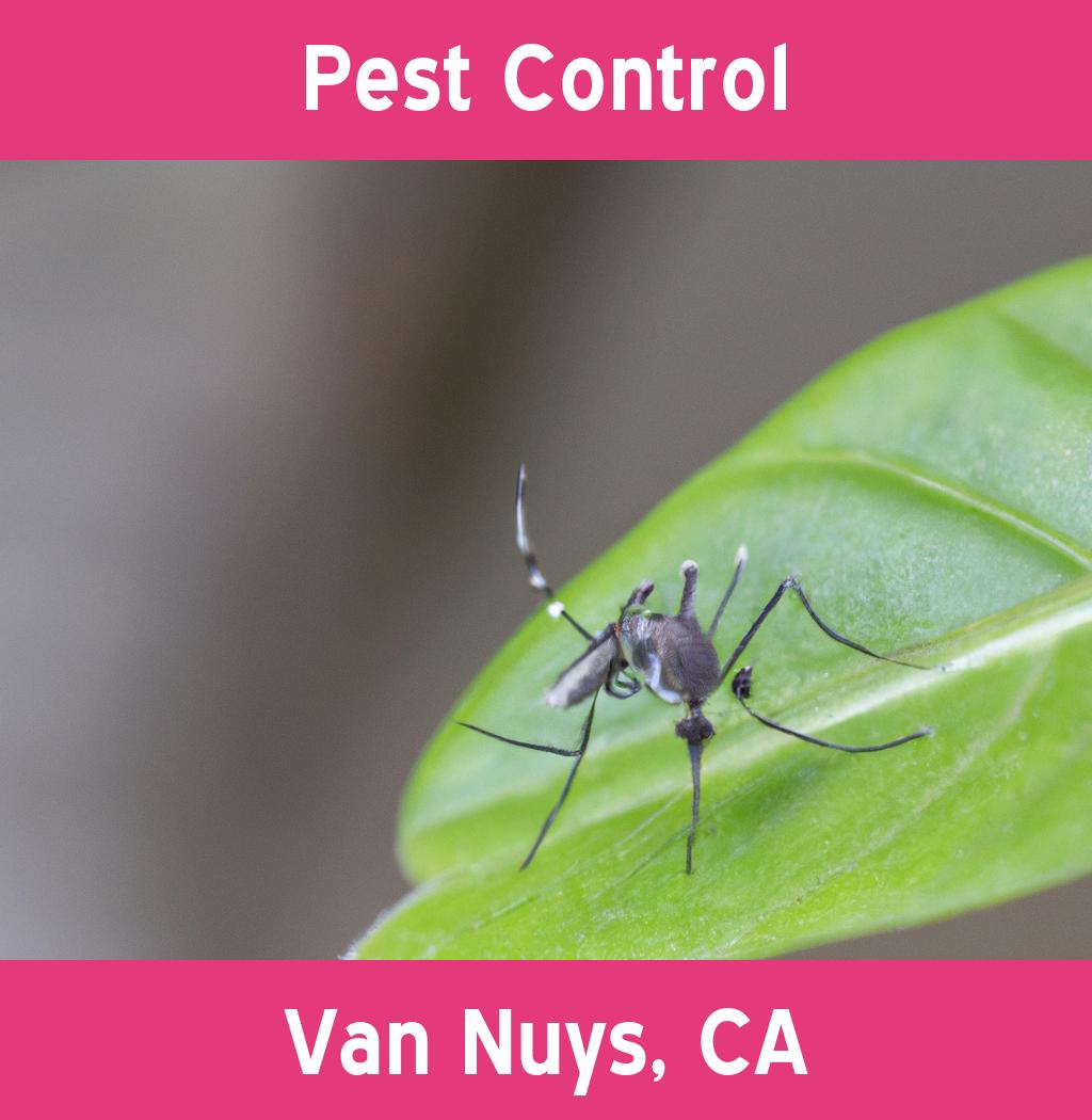 pest control in Van Nuys California