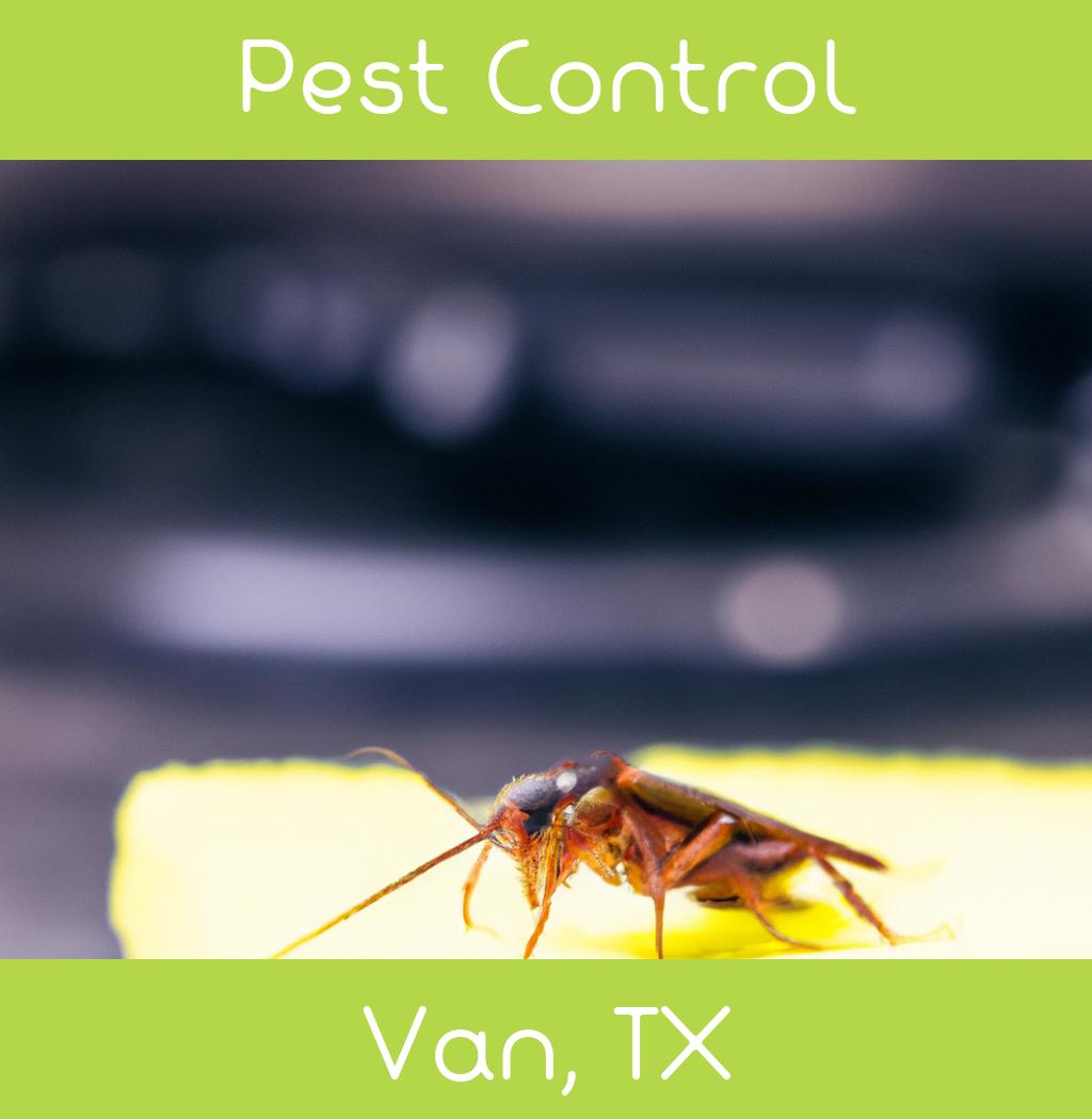pest control in Van Texas
